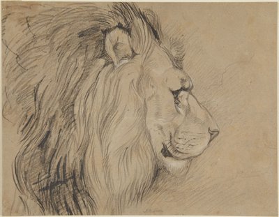 Löwe von John Frederick Lewis