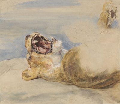 Studie einer Löwin von John Frederick Lewis