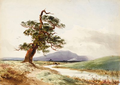 Ansicht eines Baumes in der Nähe eines Flusses mit trinkenden Rindern und einem violetten Hügel dahinter von John Frederick William Herschel
