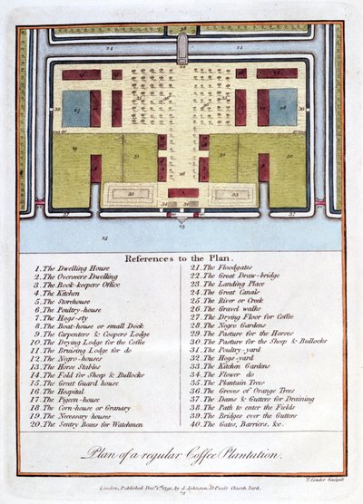 Plan einer regulären Kaffeeplantage, 1813 von John Gabriel Stedman
