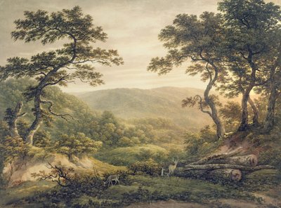 Nadelwald, Hampshire von John Glover