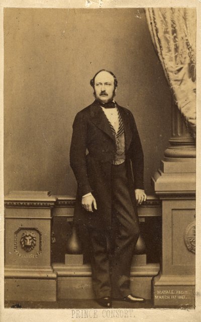 Prinzgemahl. Francis Charles Augustus Emmanuel Albert, Prinz von Sachsen-Coburg-Gotha von John Jabez Edwin Mayall