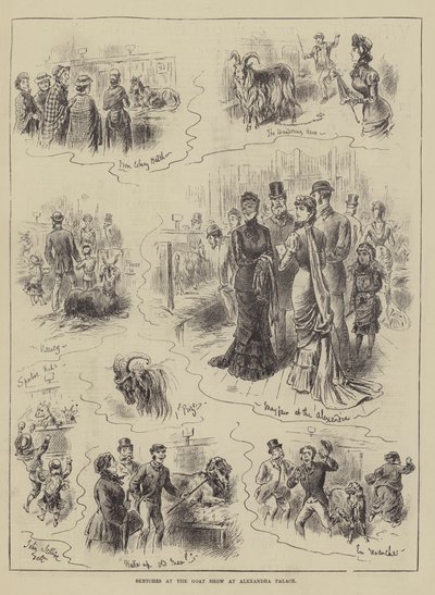 Skizzen auf der Ziegenschau im Alexandra Palace von John Jellicoe