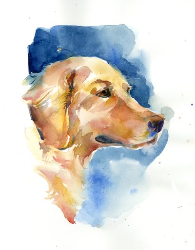 Golden Retriever von John Keeling