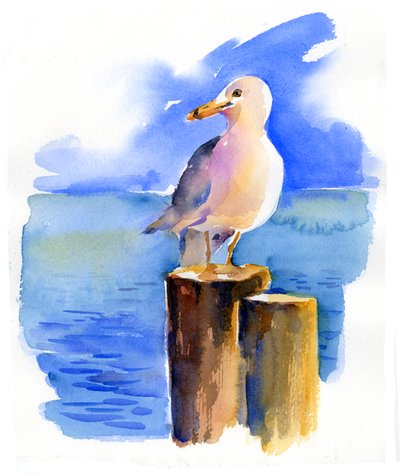 Möwe auf dem Dock von John Keeling