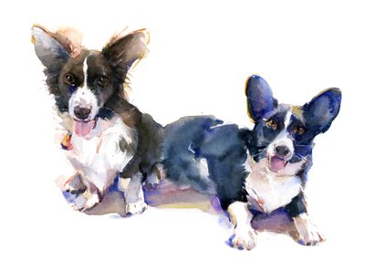 Zwei Corgis von John Keeling