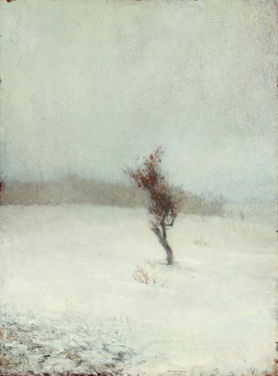 Schneesturm 1865 von John La Farge or Lafarge