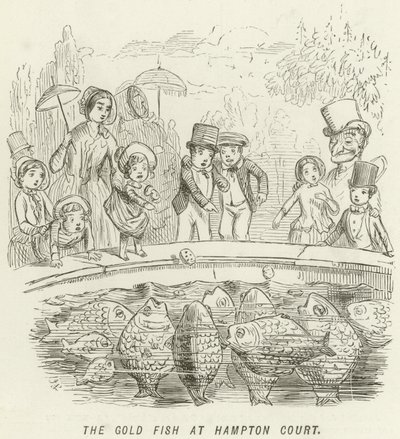 Der Goldfisch in Hampton Court von John Leech