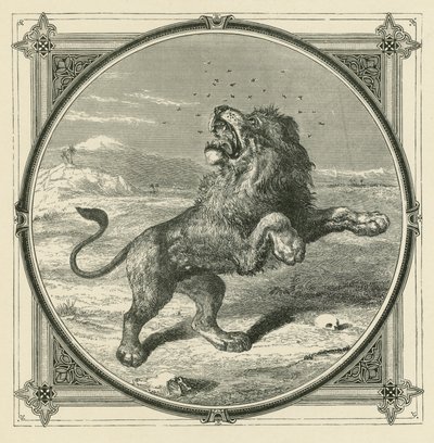 Die Mücke sticht die Augen des Löwen (Gravur) von John Leighton