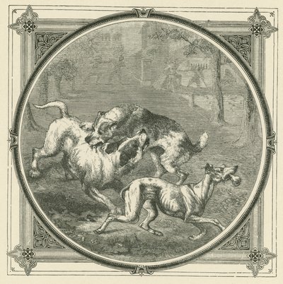 Die Hunde und der Knochen von John Leighton