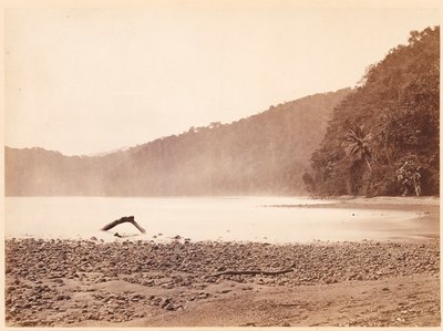 Tropische Landschaft: Der Endpunkt des vorgeschlagenen Kanals, Limon Bay (Darien-Expedition) von John Moran