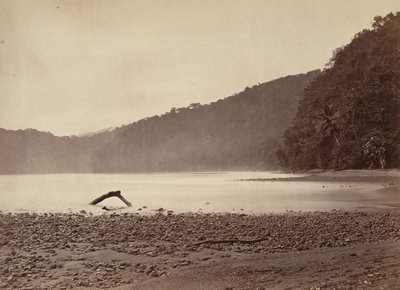 Tropische Landschaft, das Ende des vorgeschlagenen Kanals, Limon Bay von John Moran