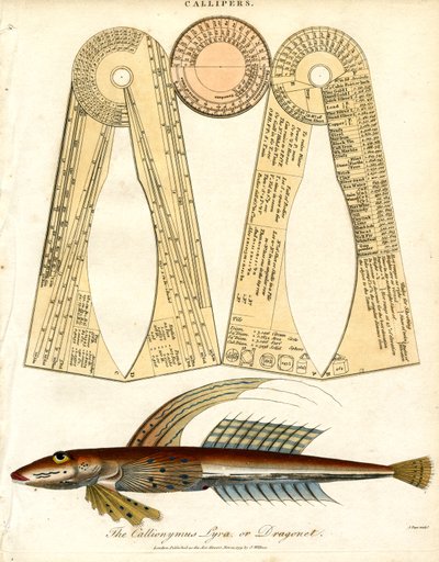 Zirkel und Drachenkopf von John Pass