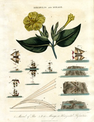 Mirabilis und Fata Morgana von John Pass