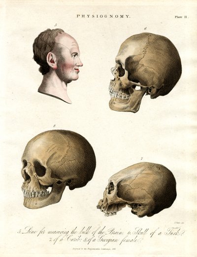 Physiognomie – Schädel verschiedener Ethnien von John Pass