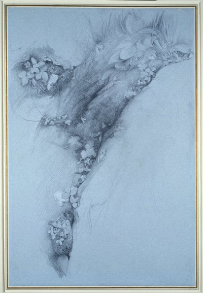 Moos und wilde Erdbeere von John Ruskin