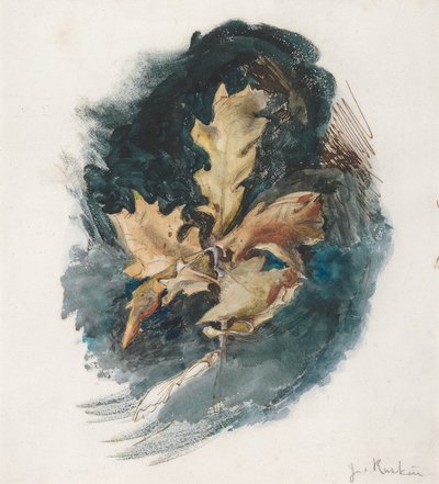 Studie eines Eichenblatts von John Ruskin