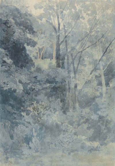 Im Rokeby Park von John Sell Cotman