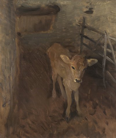 Ein Jersey-Kalb, 1893 von John Singer Sargent