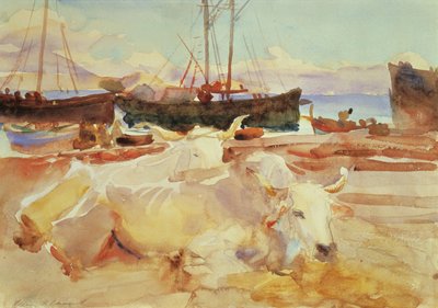 Ochsen am Strand von Baia, ca. 1908 (Aquarell auf Papier) von John Singer Sargent