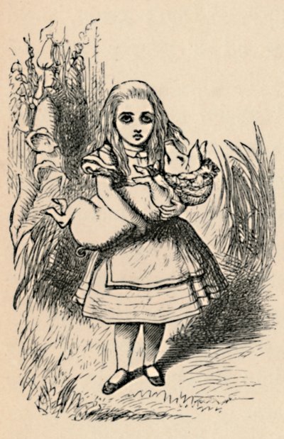 Alice hält ein Schwein in ihren Armen, 1889 von John Tenniel