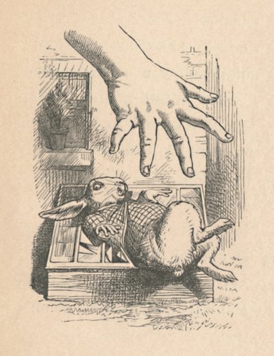 Alice streckt ihre Hand zum Weißen Kaninchen aus, 1889 von John Tenniel