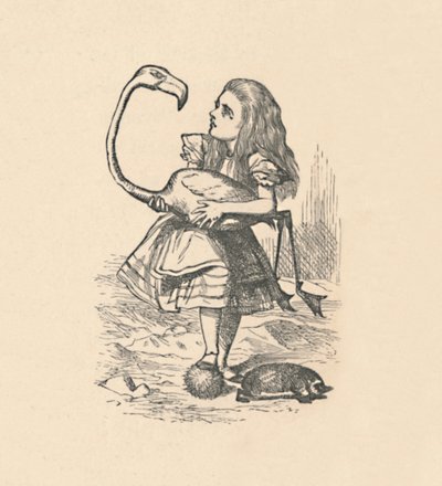 Alice versucht, mit einem Flamingo als Schläger Krocket zu spielen, 1889 von John Tenniel