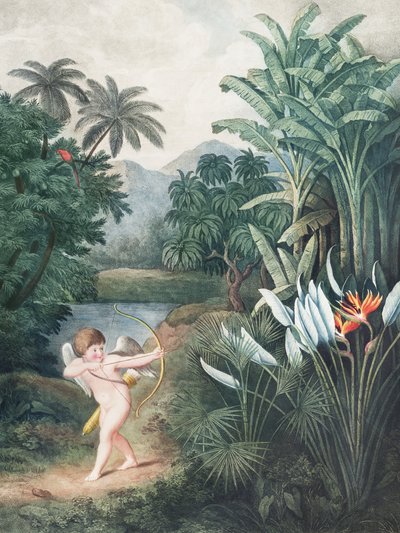 Cupidon inspiriert Pflanzen mit Liebe aus dem Tempel der Flora (1807) von Robert John Thornton von John Thornton