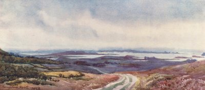Poole Harbour von Rempstone Heath von John W.G. Bond