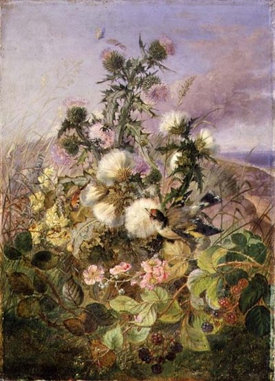 Ein Stieglitz und ein Schmetterling zwischen Disteln und Brombeerblüten von John Wainwright