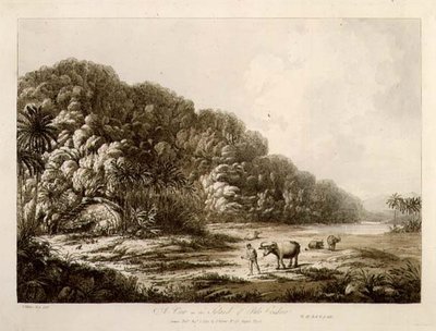 Eine Ansicht der Insel Pulo Condore, aus 