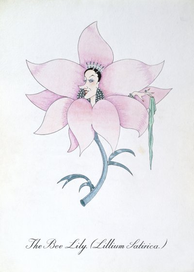 Die Bienenlilie (Lillium Satirica), Illustration aus 
