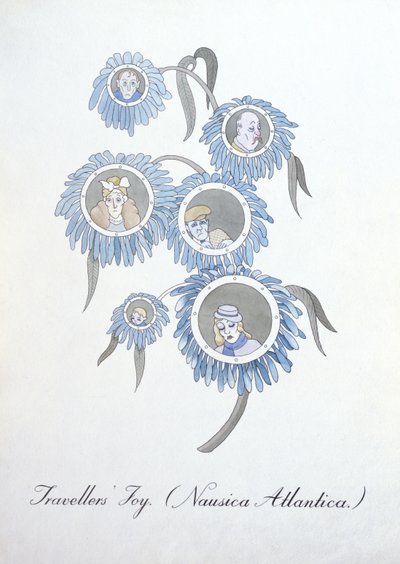 Reisefreude (Nausica Atlantica.), Illustration aus 