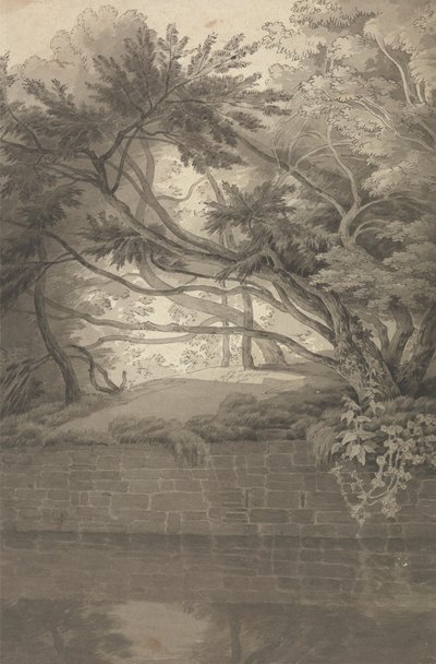 Bäume über einem See von John White Abbott