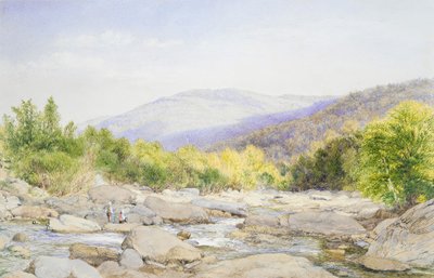 Landschaft: Blick auf den Catskill Creek von John William Hill