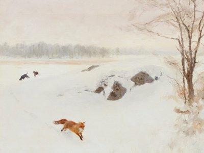 Roter Fuchs Winterverfolgung von Jolly and Dash