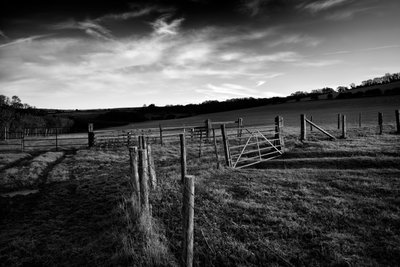 Das Goodwood-Anwesen in West Sussex, UK, 2019 von Jon Nicholson