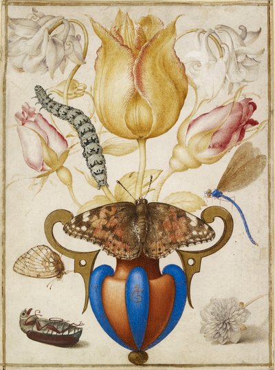 Anordnung von Blumen in einer Vase, mit Insekten von Joris Hoefnagel