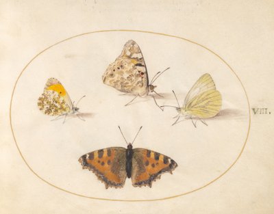  von Joris Hoefnagel