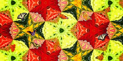 Kreaturen: Schmetterlinge im Rosengarten von Josef Johann Michel