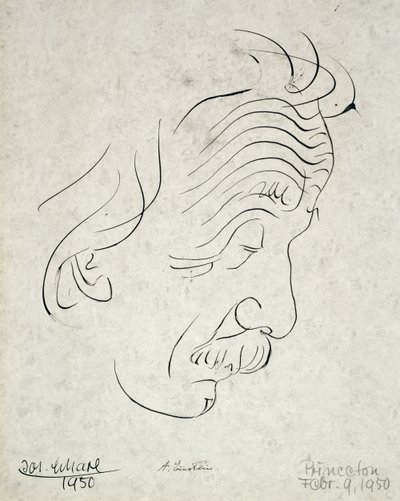 Albert Einstein von Josef Scharl
