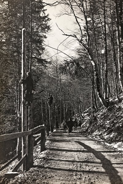 Album "Meine Weltkriegs-Erinnerungen Südwestfront (Kärnten, Italien, Südtirol) 31/03/1915-12/11/1918 - Josef Zohles Wien": Soldaten bei der Arbeit (s/w Foto) von Josef Zohles