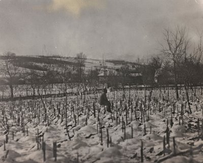 Album "Meine weltkriegs - Erinnerungen Südwestfront (Kärnten, Italien, Südtirol) 31/03/1915-12/11/1918 - Josef Zohles Wien": Militärfriedhof von Josef Zohles