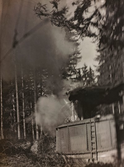 Album "Meine weltkriegs - Erinnerungen Südwestfront (Kärnten, Italien, Südtirol) 31/03/1915-12/11/1918 - Josef Zohles Wien": Mörser in Aktion von Josef Zohles