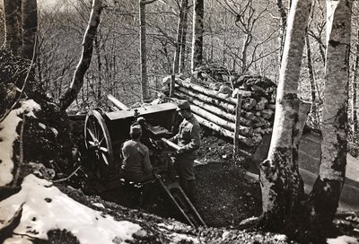 Album "Meine weltkriegs - Erinnerungen Südwestfront (Kärnten, Italien, Südtirol) 31/03/1915-12/11/1918 - Josef Zohles Wien": Soldaten mit Kanone von Josef Zohles