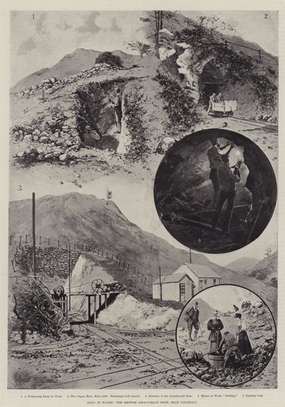 Gold in Wales, die British Gold-Fields Mine, in der Nähe von Dolgelly von Joseph Holland Tringham