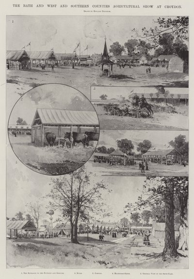 Die Bath and West and Southern Counties Agricultural Show in Croydon von Joseph Holland Tringham