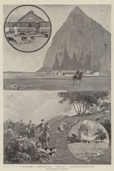 Die Calpe Jagd, in Gibraltar von Joseph Holland Tringham
