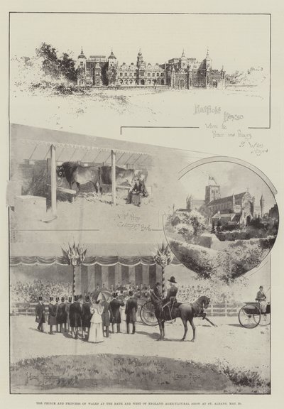 Der Prinz und die Prinzessin von Wales auf der Bath and West of England Agricultural Show in St Albans, 29. Mai von Joseph Holland Tringham