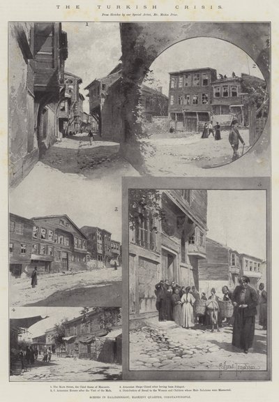 Die türkische Krise von Joseph Holland Tringham
